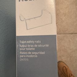 Moen Toilet Safety Rails