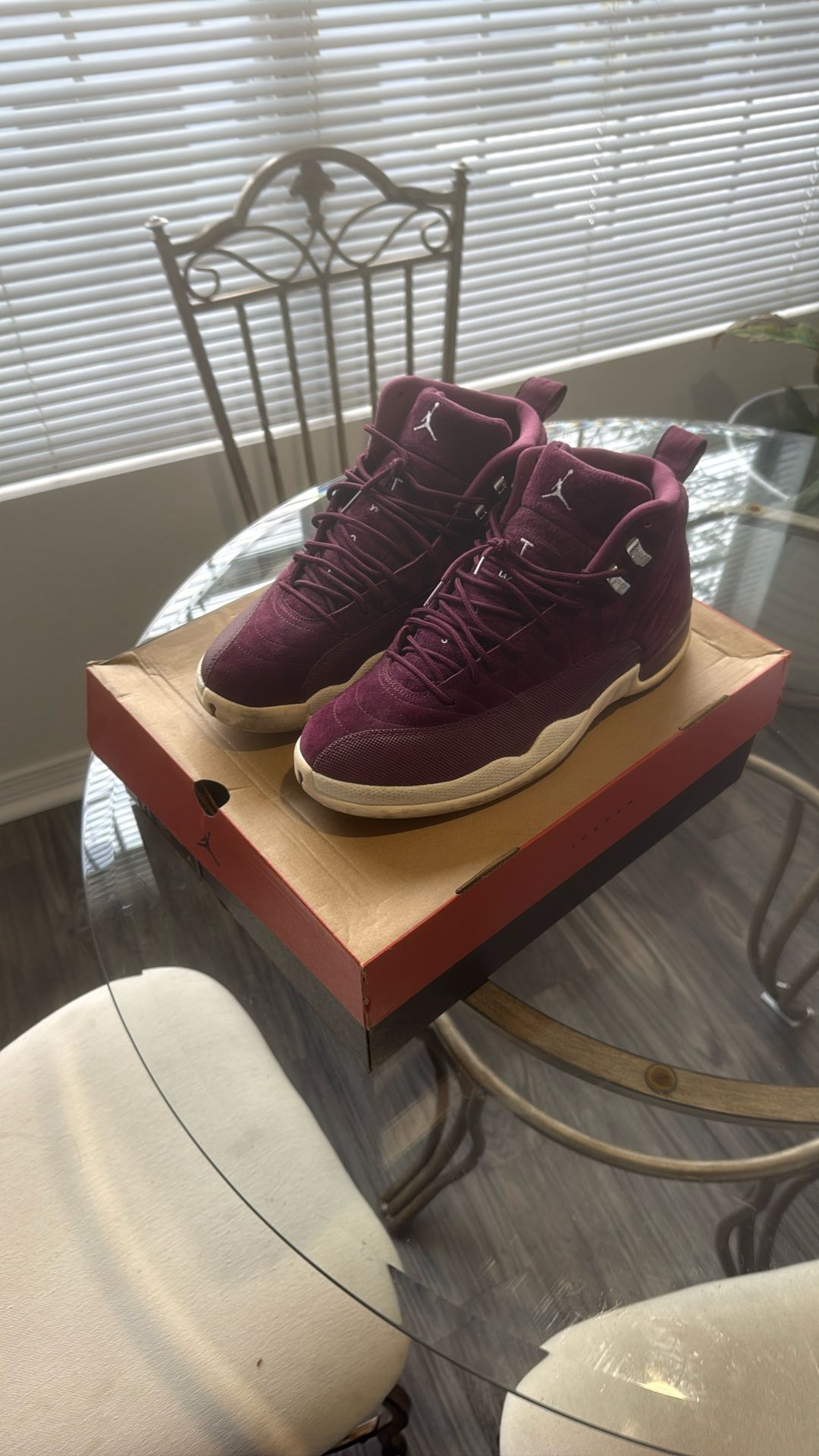 Jordan Retro 12 Men Size 12