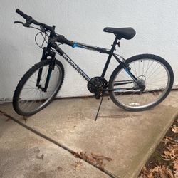 Roadmaster Bike