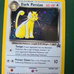 Dark Persian #17