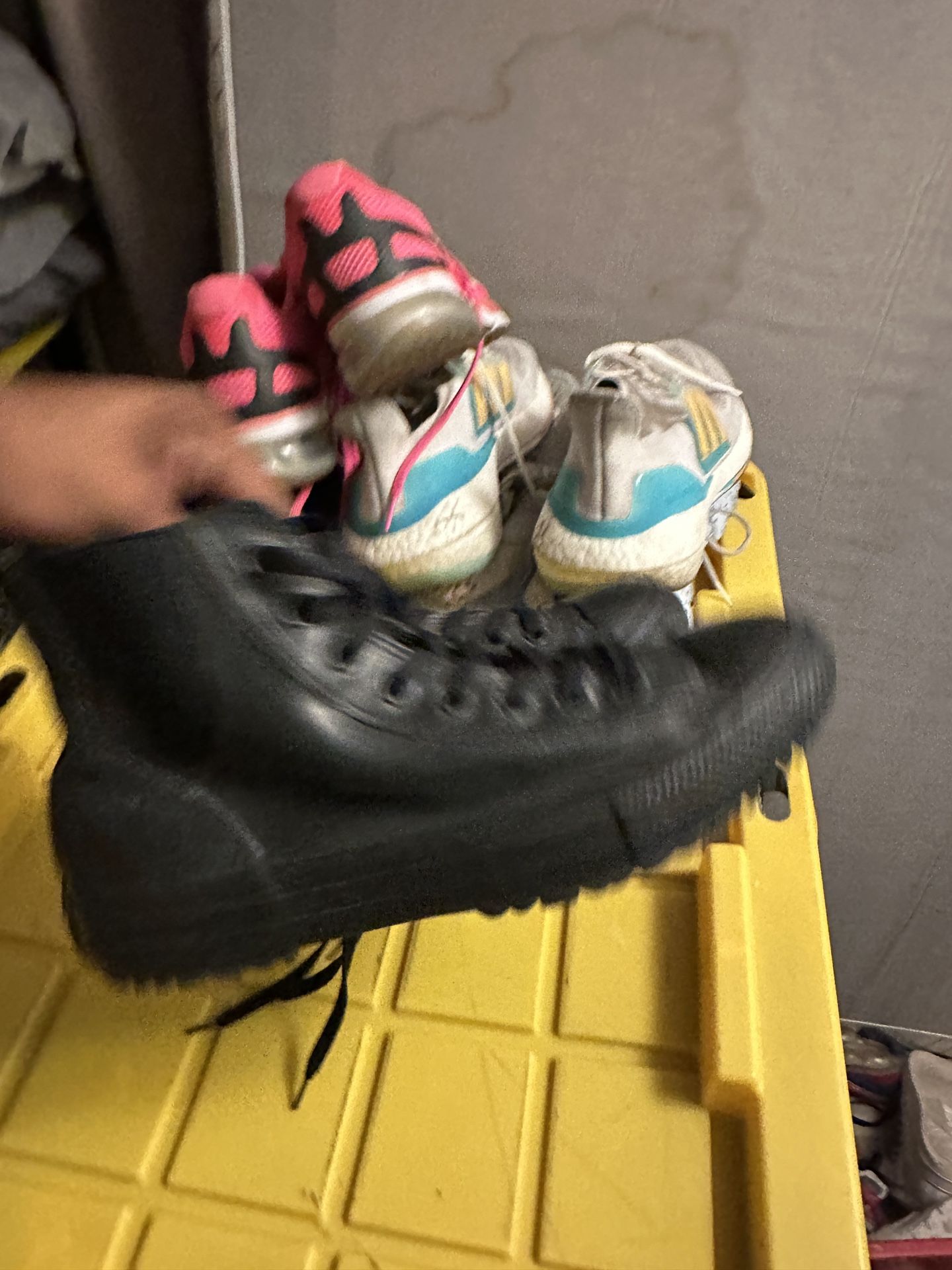 Converse Size 10