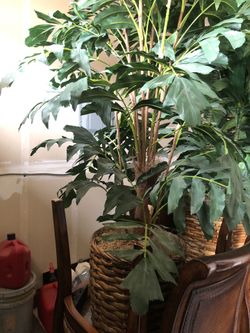 Tall Artificial Plant with Basket