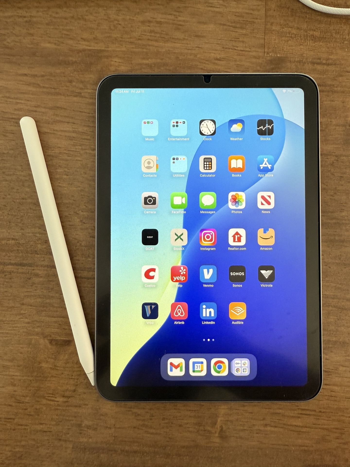 Apple iPad Mini With Case And Apple Pro Pencil Pro