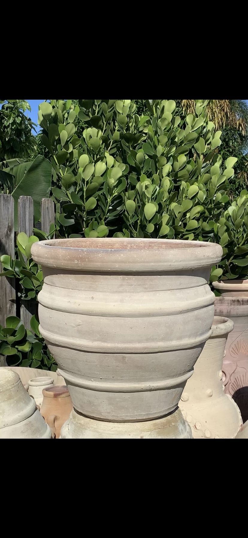 Tuscan Terra Cotta Pot Plant Planter Flower Pot