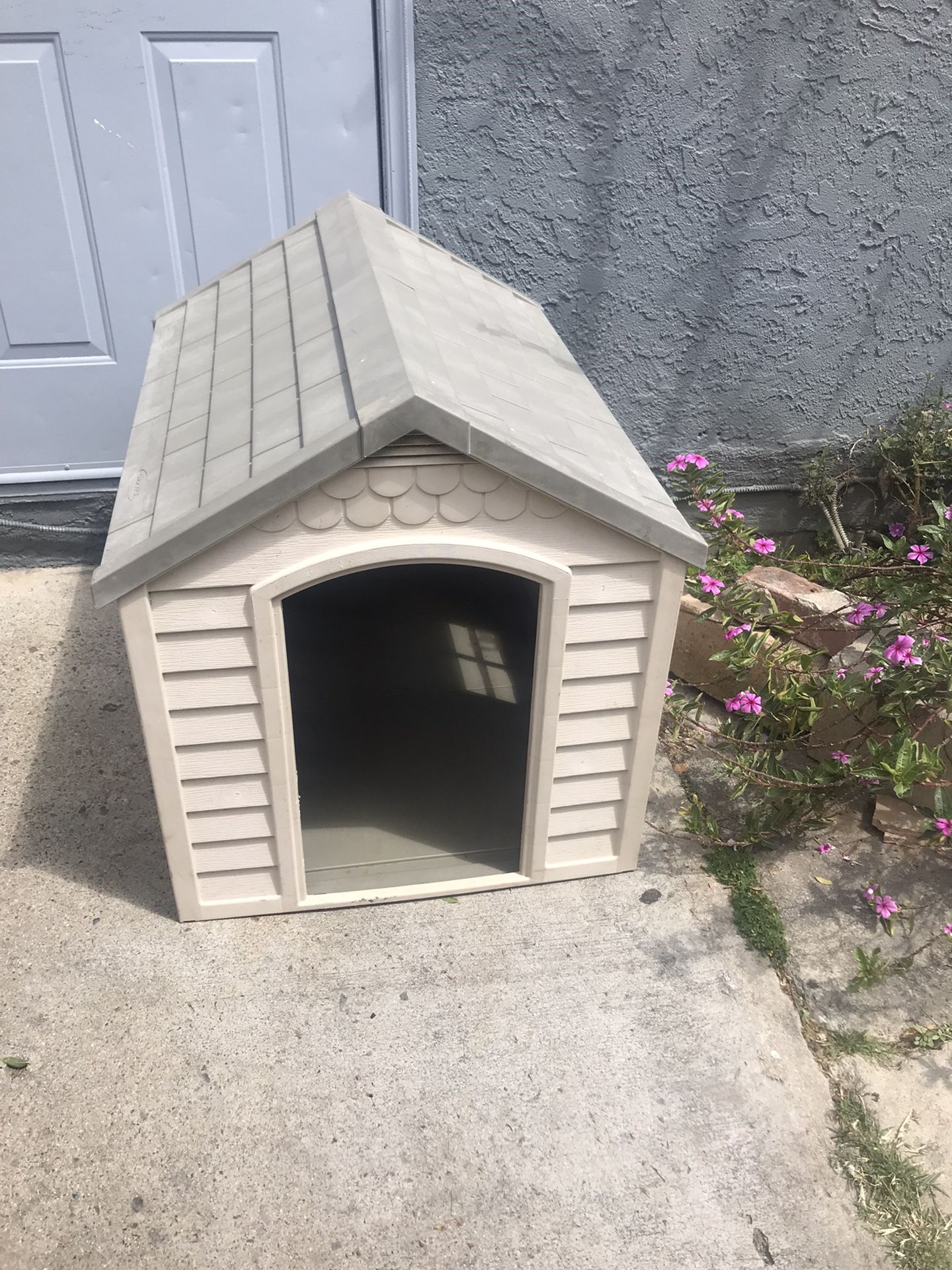 Dog House 