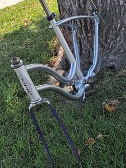 Schwinn  LiL chicks. 1966 Dec