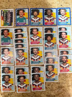 FIFA World Cup Panini Stickers