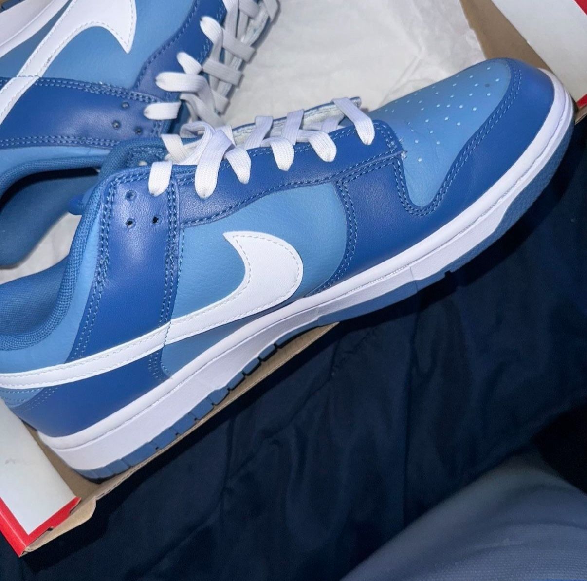 Nike Dunks