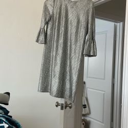 Silver Sequined Dress