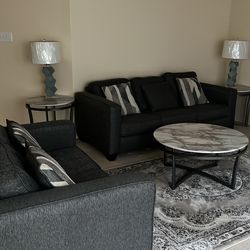 Living room (lamps, coaches, tables, rug, pillows)