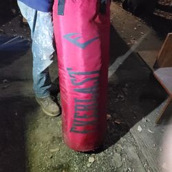 EVERLAST  Heavy Bag 
