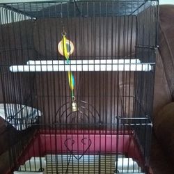 Bird Cage