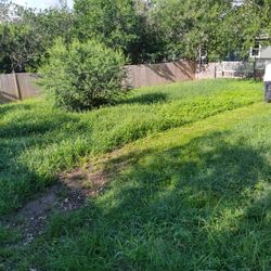 Lawn Mower 