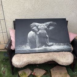 Large Elephant Picture