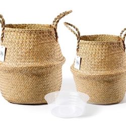 Set Of 2 Seagrass Plant Basket - Hand Woven Belly Basket with Handles, 