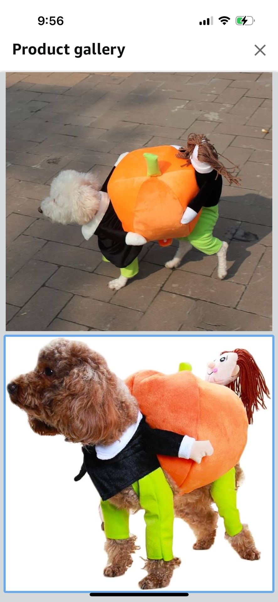  Pet Costume Dog Cat Pumpkin Pets Suit Halloween Costumes Pets Clothing for Small Dogs and Cats