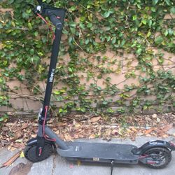 Hi-boy Electric Scooter