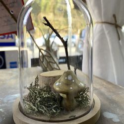 Tiny Gold Mushroom Terrarium