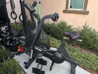 Rogue Echo Bike