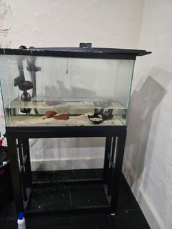 29 gal fish tank with sicce whale 500 filter