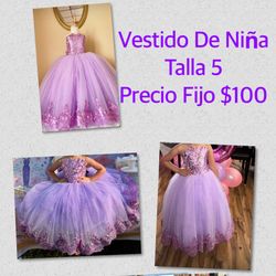 Purple Little Girl Dress Size 5