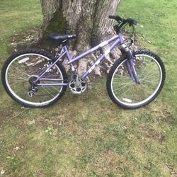 26” Gt Mountain Bike 