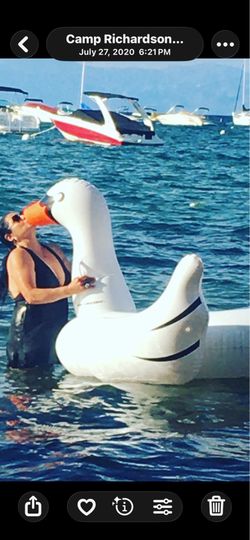 Large floating Swan