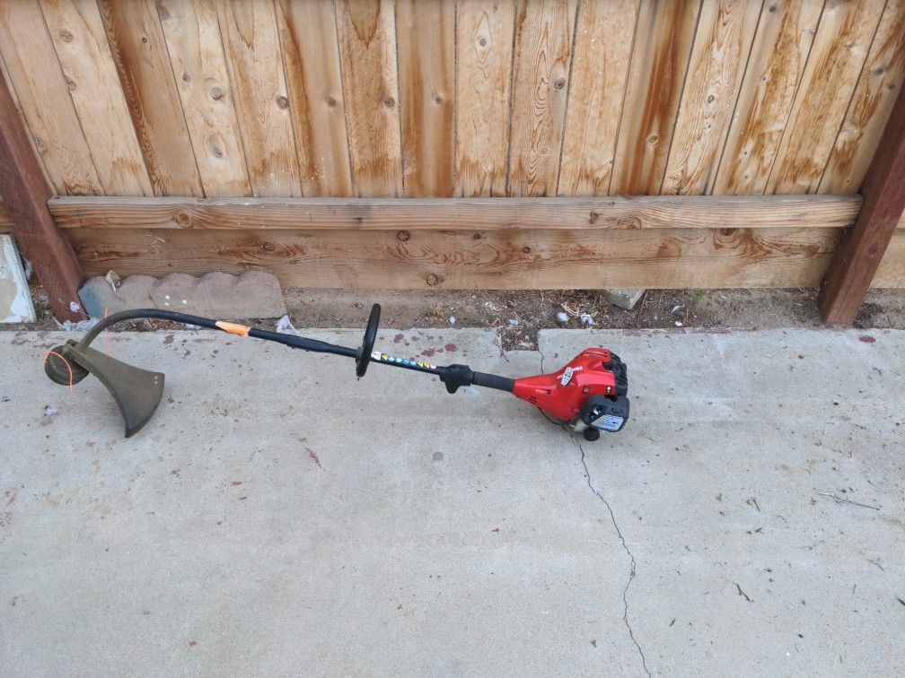 Homelite Gas Straight Shaft String Trimmer