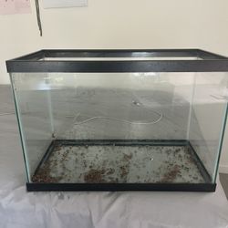 20 gallon fish tank + filter + light with remove + gravel