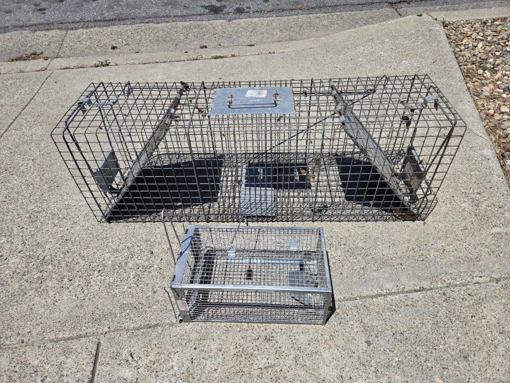 Large & Small Animal Traps.