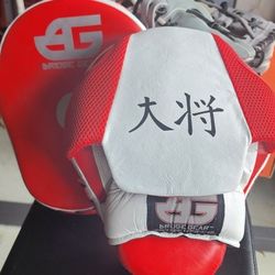 New Boxing Muay Thai MMA Hitting Pads - 2 Sets/Pairs
