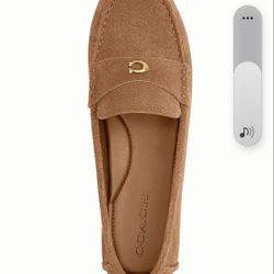 Coach Flat