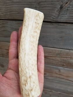Small piece of deer antler