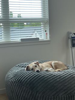 Free bean bag