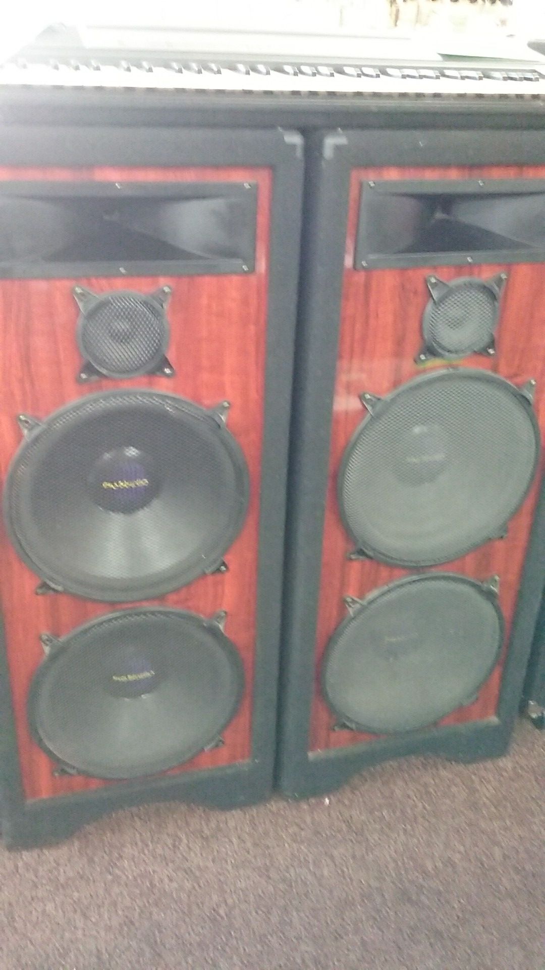 Pro studio 15 store inch tower speakers