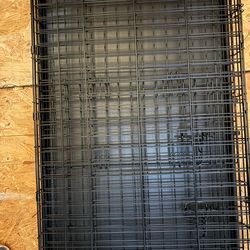 Quick-Fold Medium Wire Dog Crate