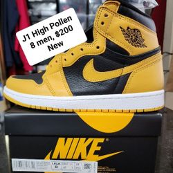 Air Jordan 1 Pollen 