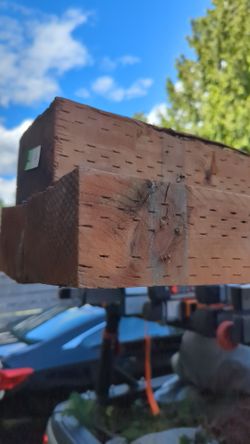 Pressured treated lumber 4x6x10