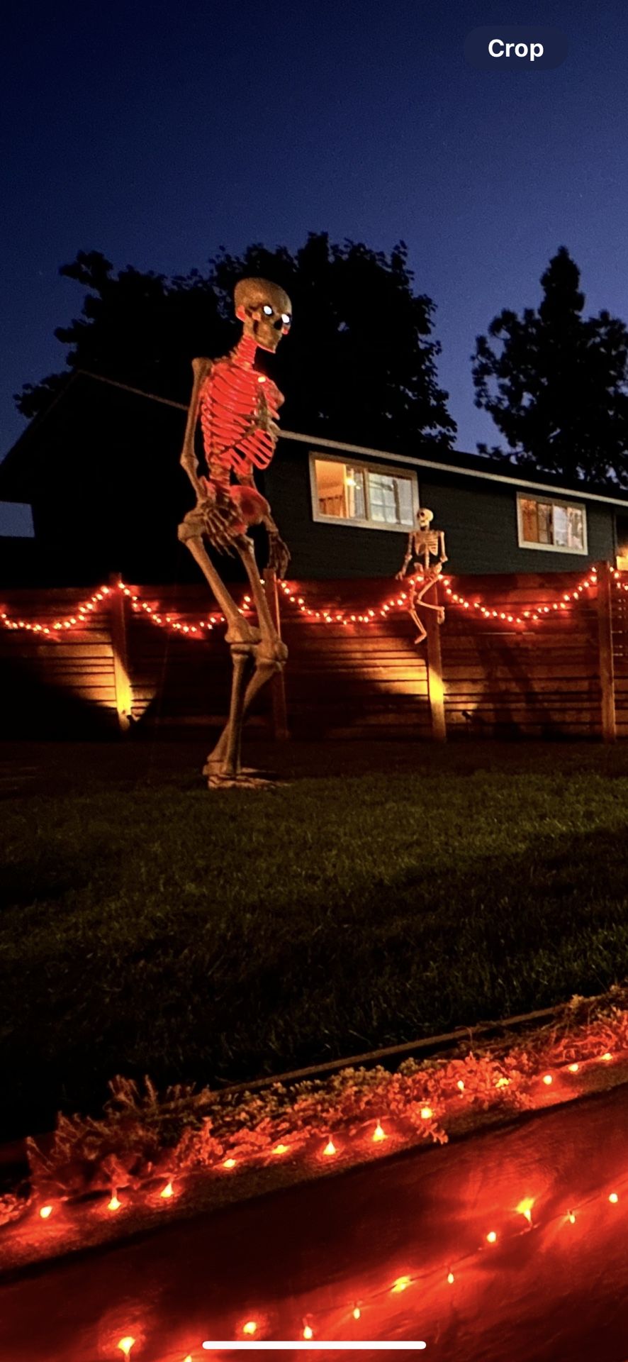 12ft Skeleton - Home Depot - Skelly