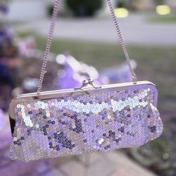Ann Taylor Loft Sequin Clutch Bag