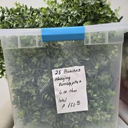 25 bunches hanging Eucalyptus-good quality plastic