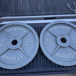 45LB Olympic Weights 