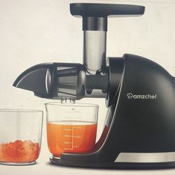 Amzchef Cold Press Slow Masticating Juicer