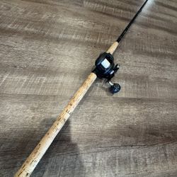 Like New Daiwa Lexa 300 WN Hsp Slag And Fresh Water Fishing Combo. 