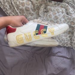 Gucci Ace Low 'Guccy Print'