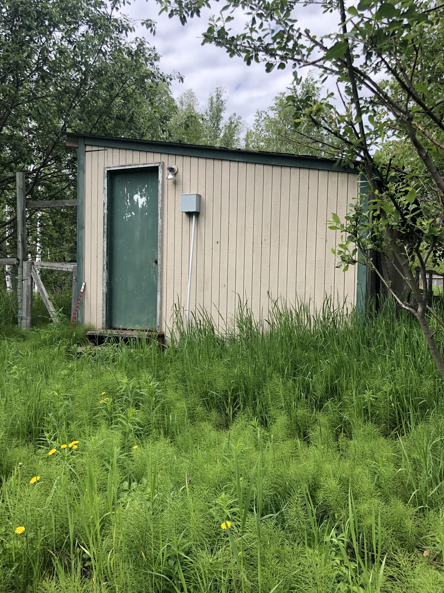 Organic chicken coop