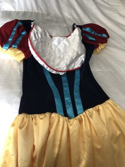 Snow White Homemade custom costume!