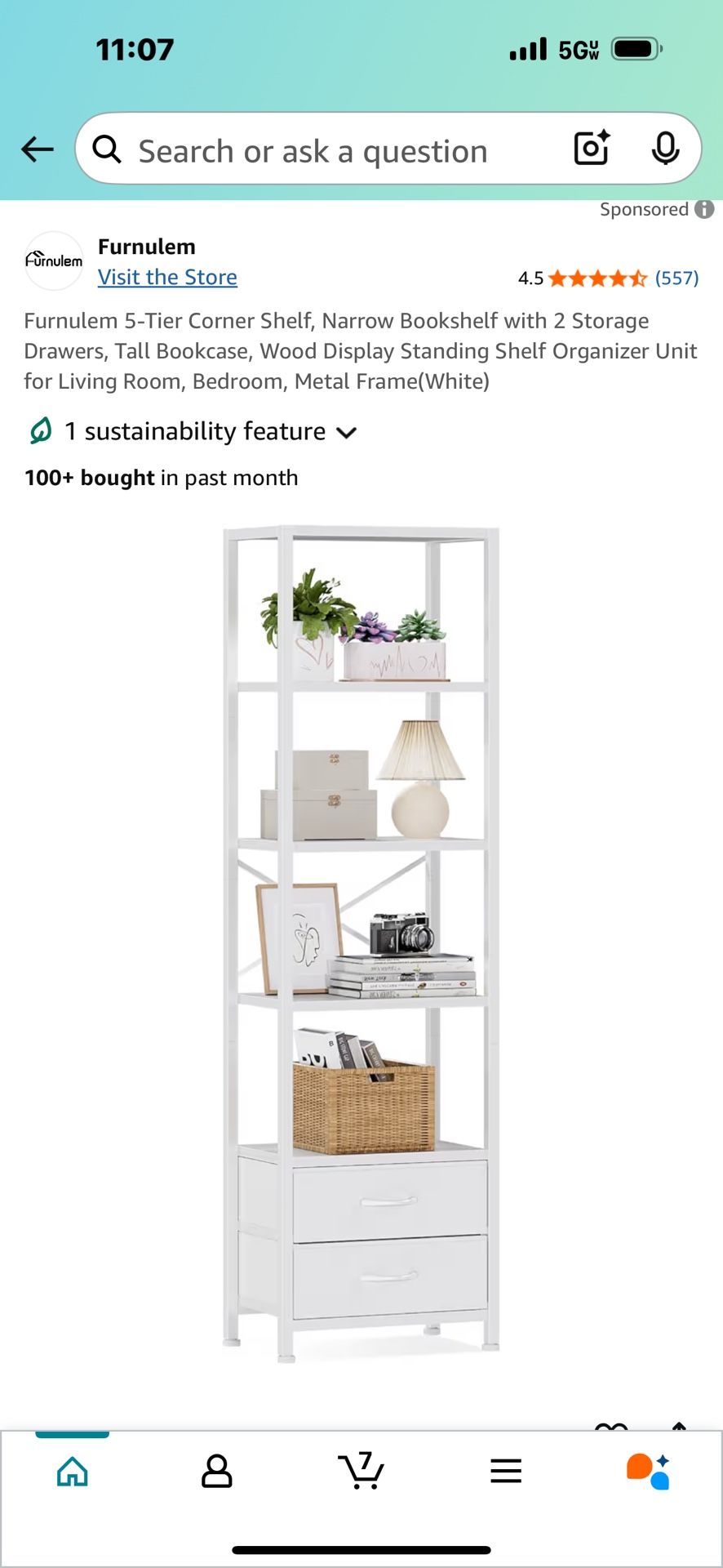 5 Tier Corner Shelf