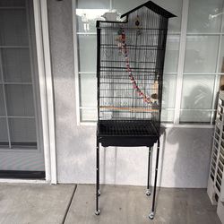 Bird Cage