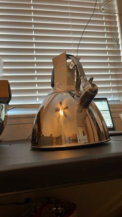 PH Stainless Steel Whistling Kettle